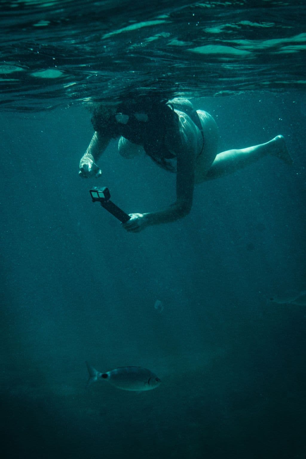 Excursión en lancha a cuevas marinas y snorkel – Reserva Marina de Menorca